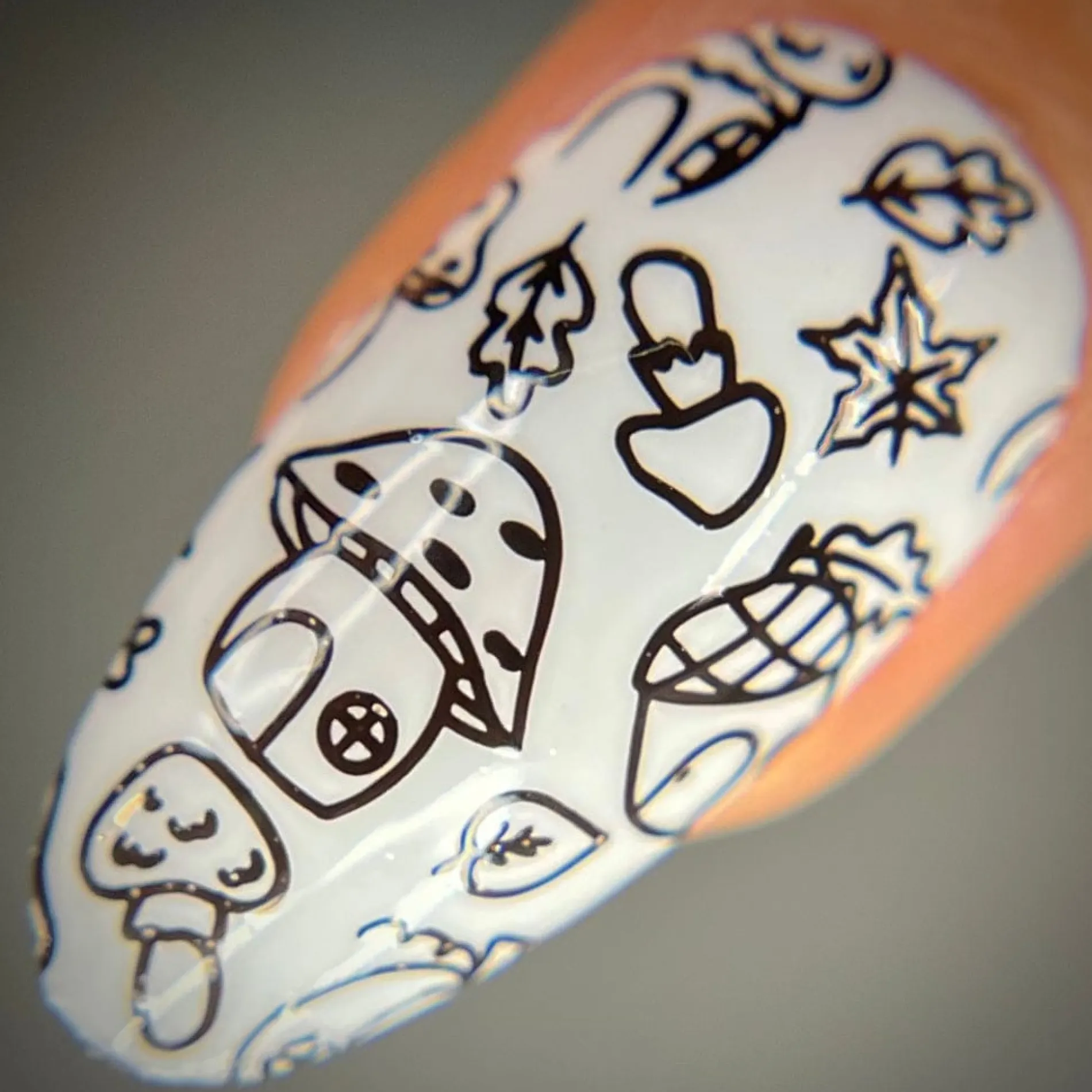 Acorn (B498) - Cream Dark Brown Stamping Polish