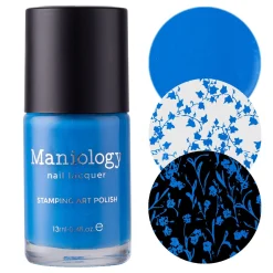 Alice (B468) - Cream Blue Stamping Polish