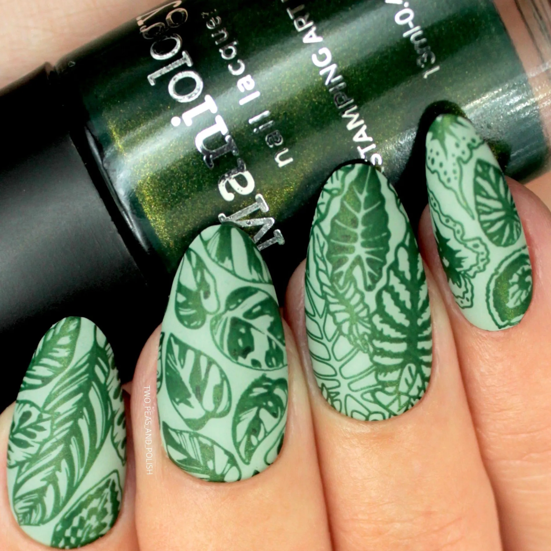Alocasia (B441) - Shimmer Forest Green Stamping Polish