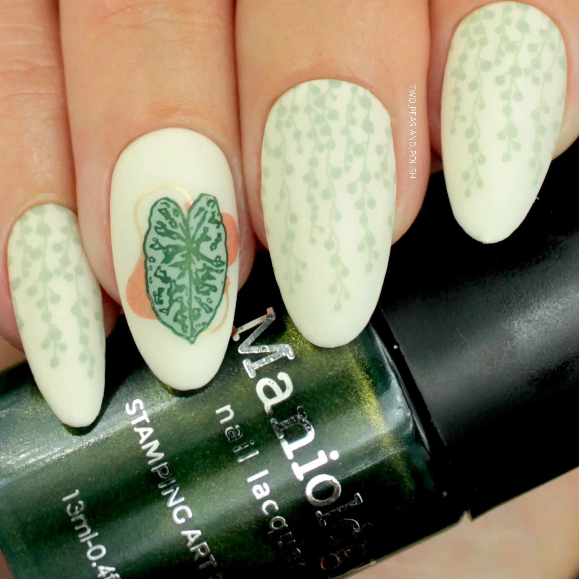 Alocasia (B441) - Shimmer Forest Green Stamping Polish