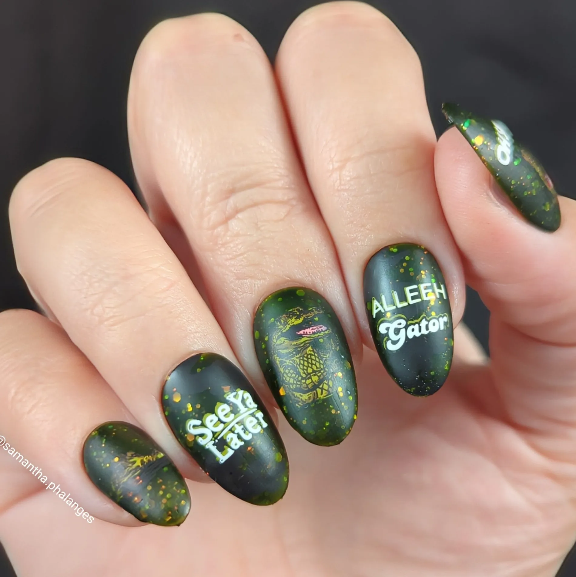 Artist Collaboration: Alleehgatorclaws (M534) - Nail Stamping Plate