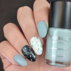 Asteroid (B504) - Cream Gray Stamping Polish