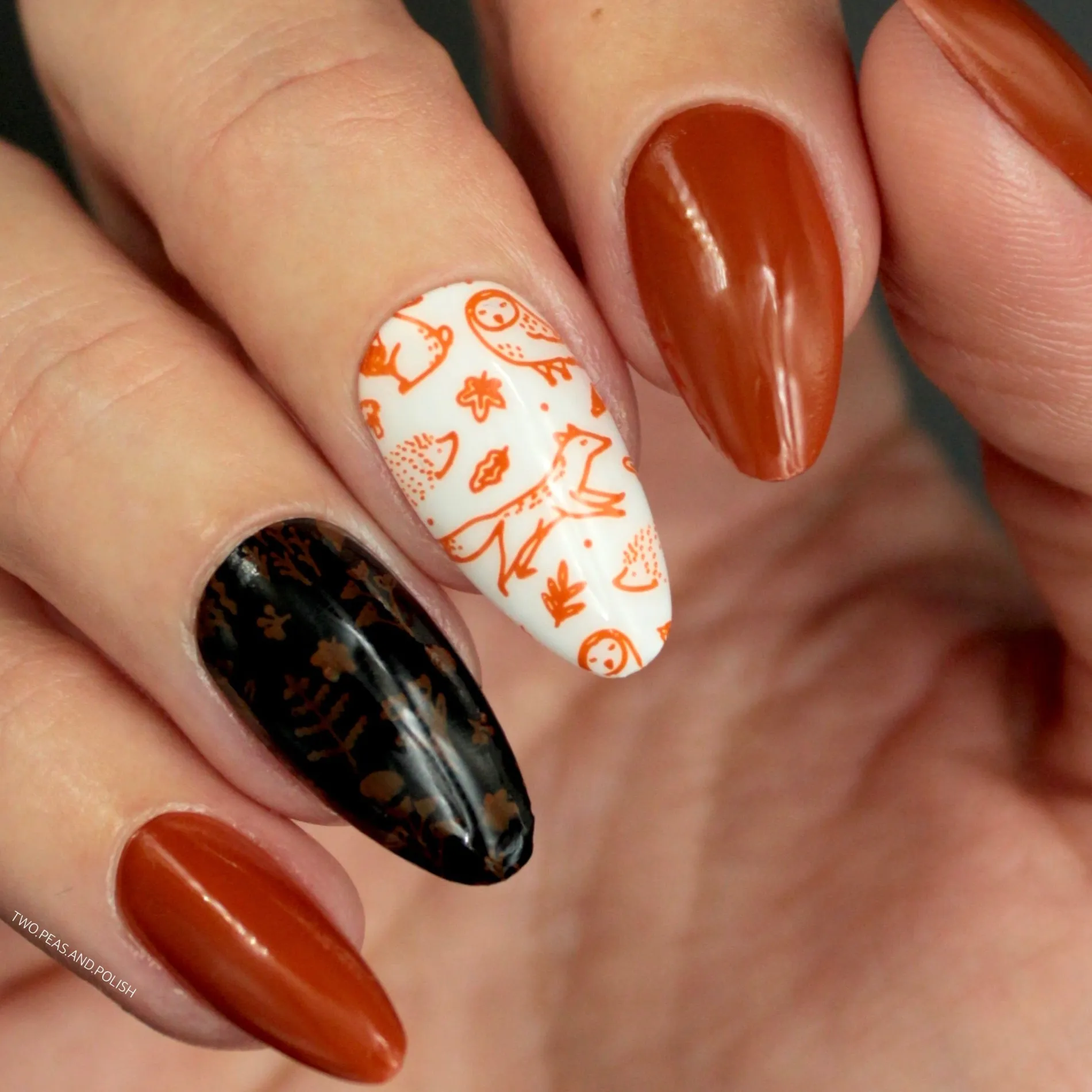 Autumn Blossom: Chrysanthemum (B302) Burnt Orange Stamping Polish
