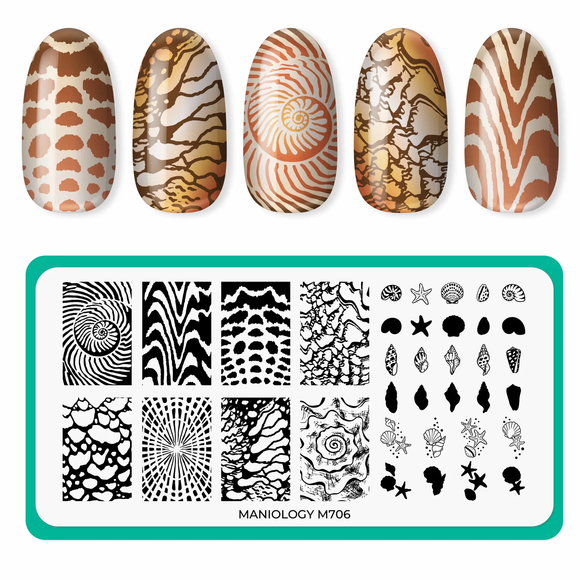 Beachcomber: Nail Stamping Starter Kit