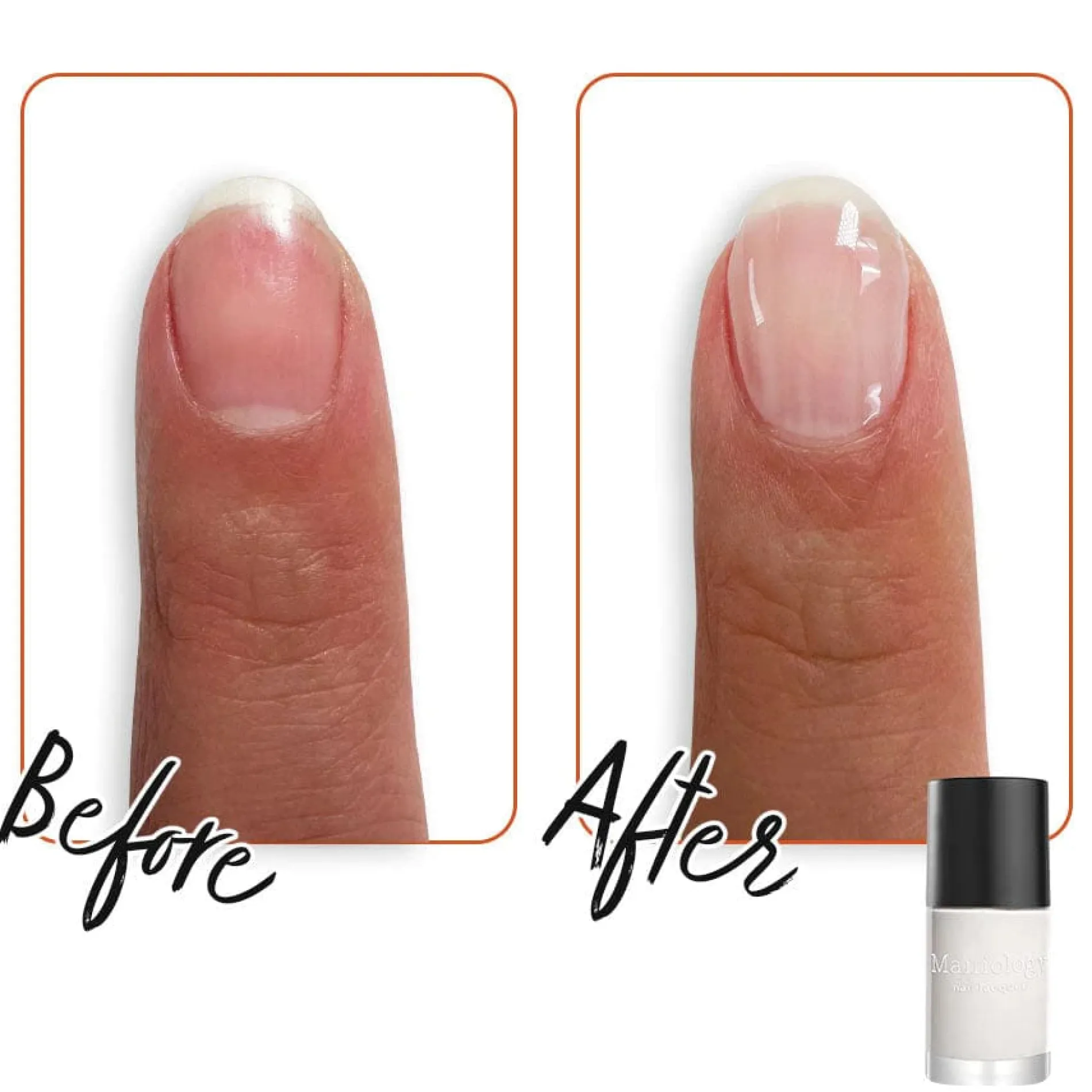 Calcium Rich Milk Base Coat