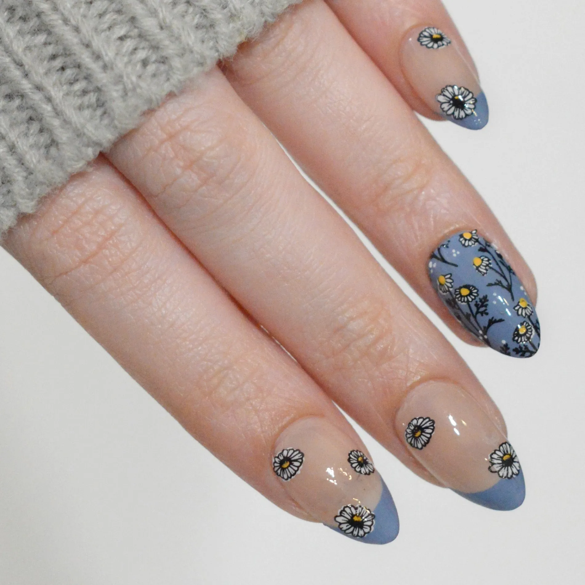 Chamomile Melody (M683) - Nail Stamping Plate