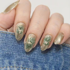 Chrysanthemum Blossoms (M664) - Nail Stamping Plate