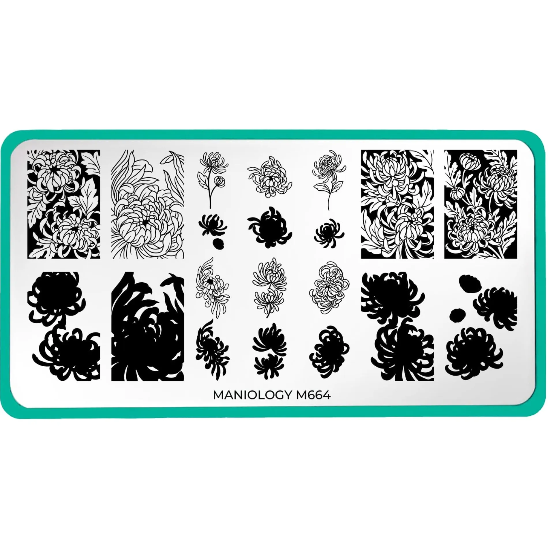 Chrysanthemum Blossoms (M664) - Nail Stamping Plate