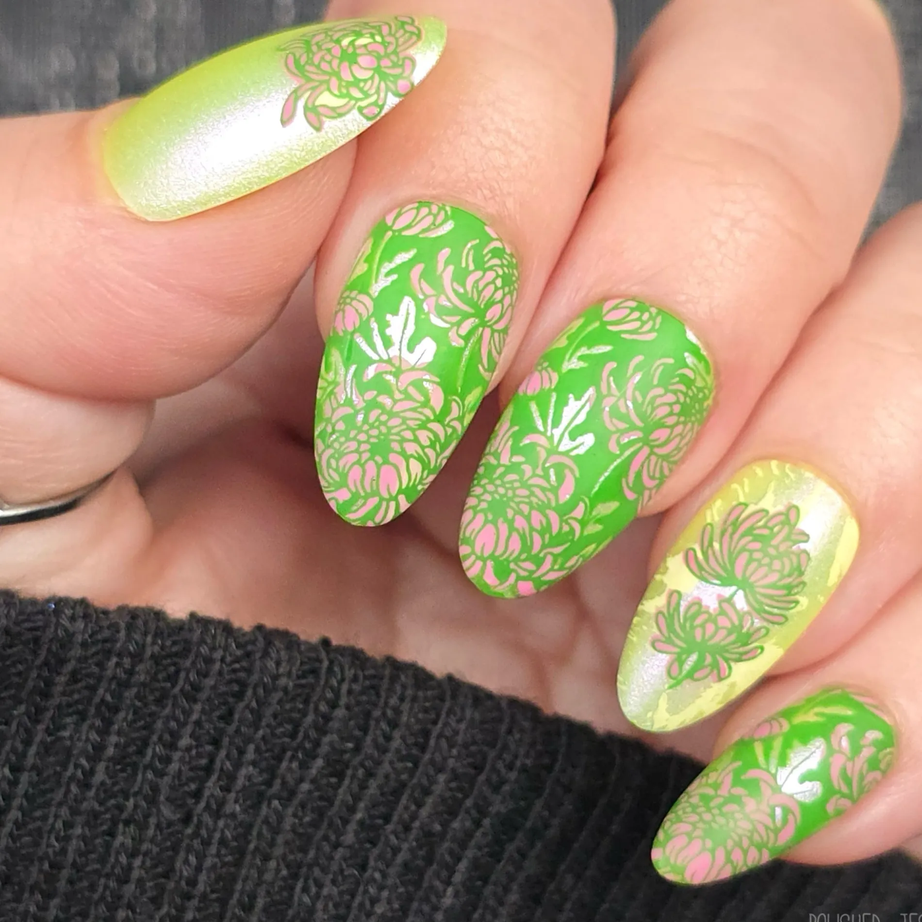Chrysanthemum Blossoms (M664) - Nail Stamping Plate