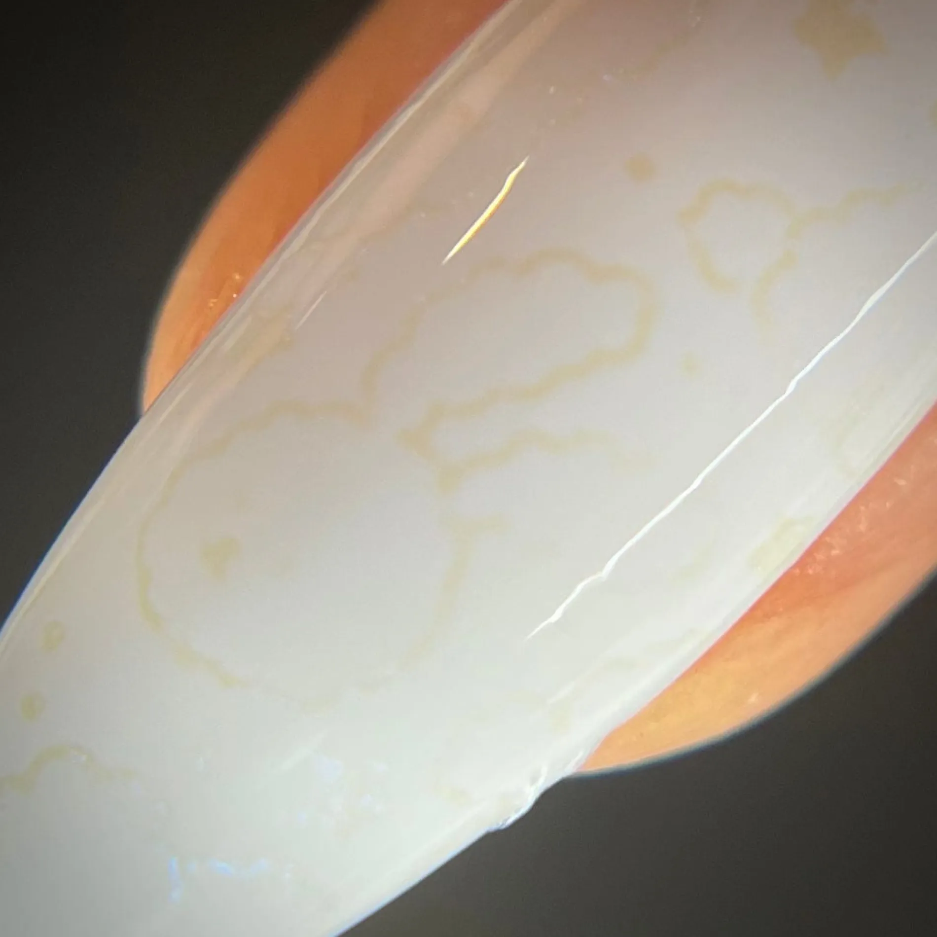 Cloudy (B511) - Pearl White Stamping Polish