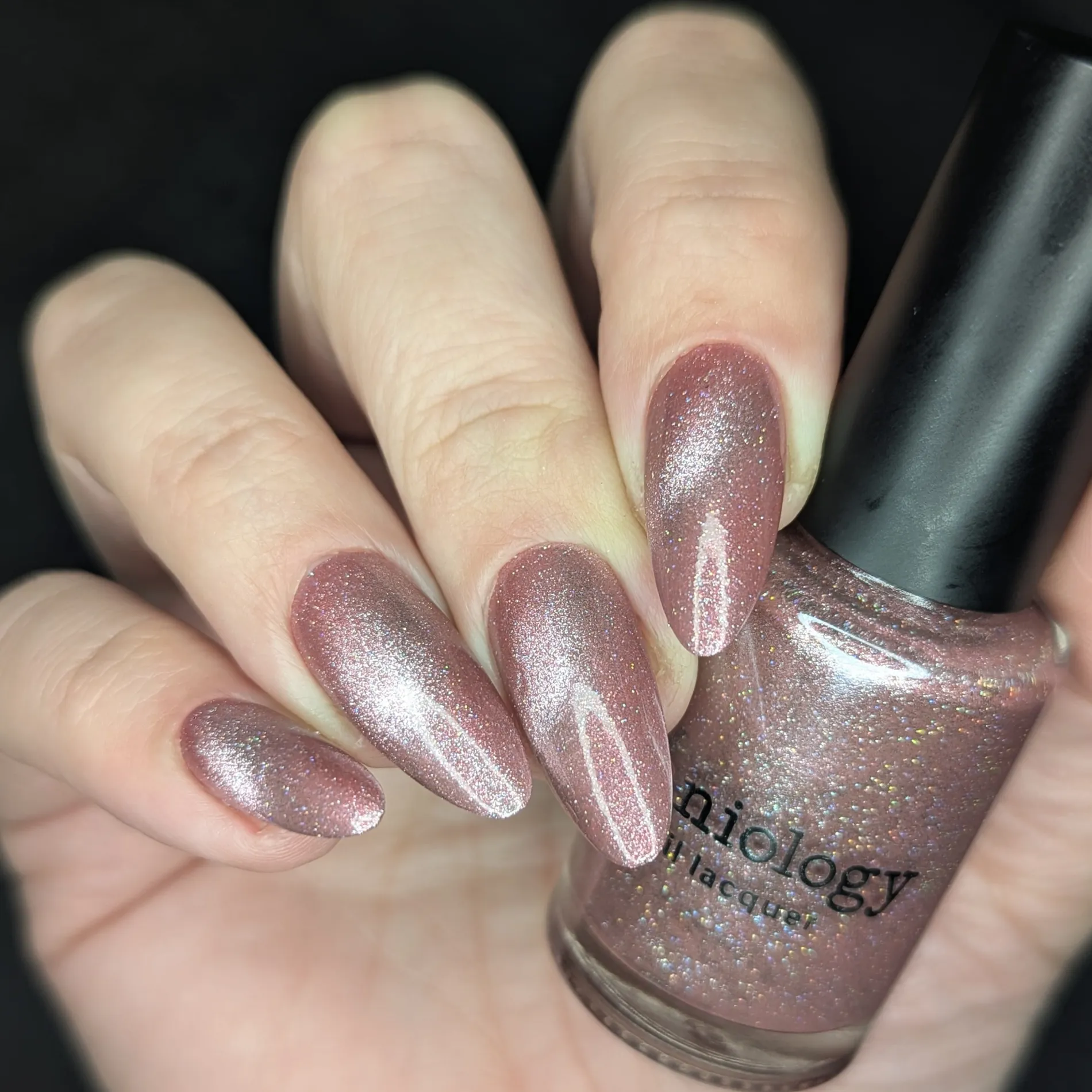 Flower Basket: Cherry Blossom (P192) - Rose Magnetic Nail Polish