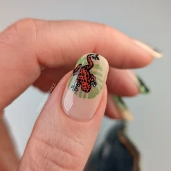 Forest Wonders: Set of 2 Nail Stamping Plates