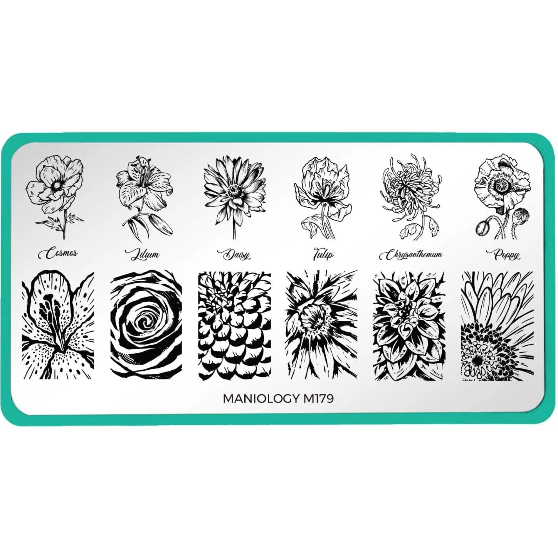Grow With Love (m179) - Nail Stamping Plate