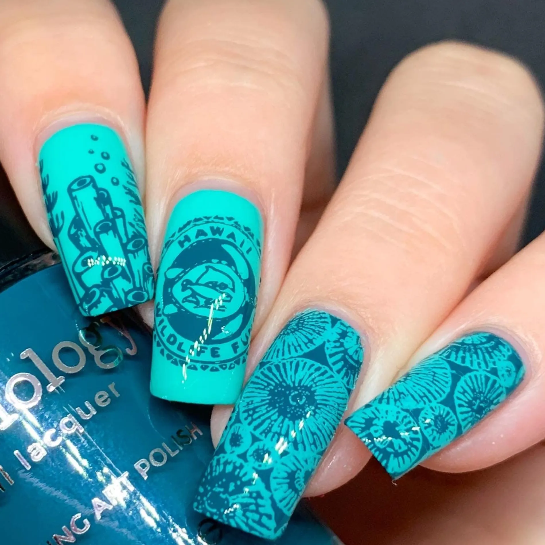 Honu (B391) - Teal Stamping Polish