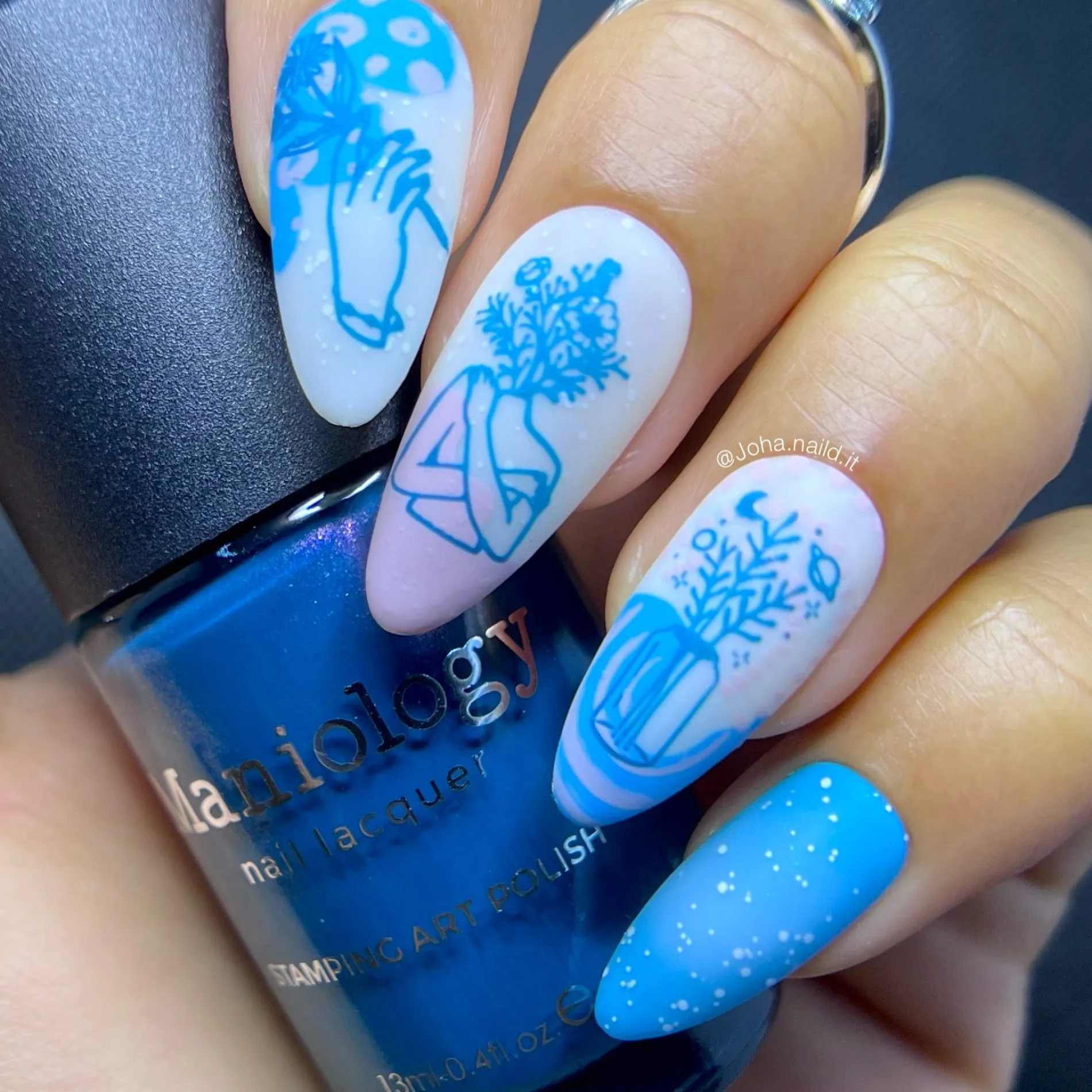 In Shape (M301) - Nail Stamping Plate