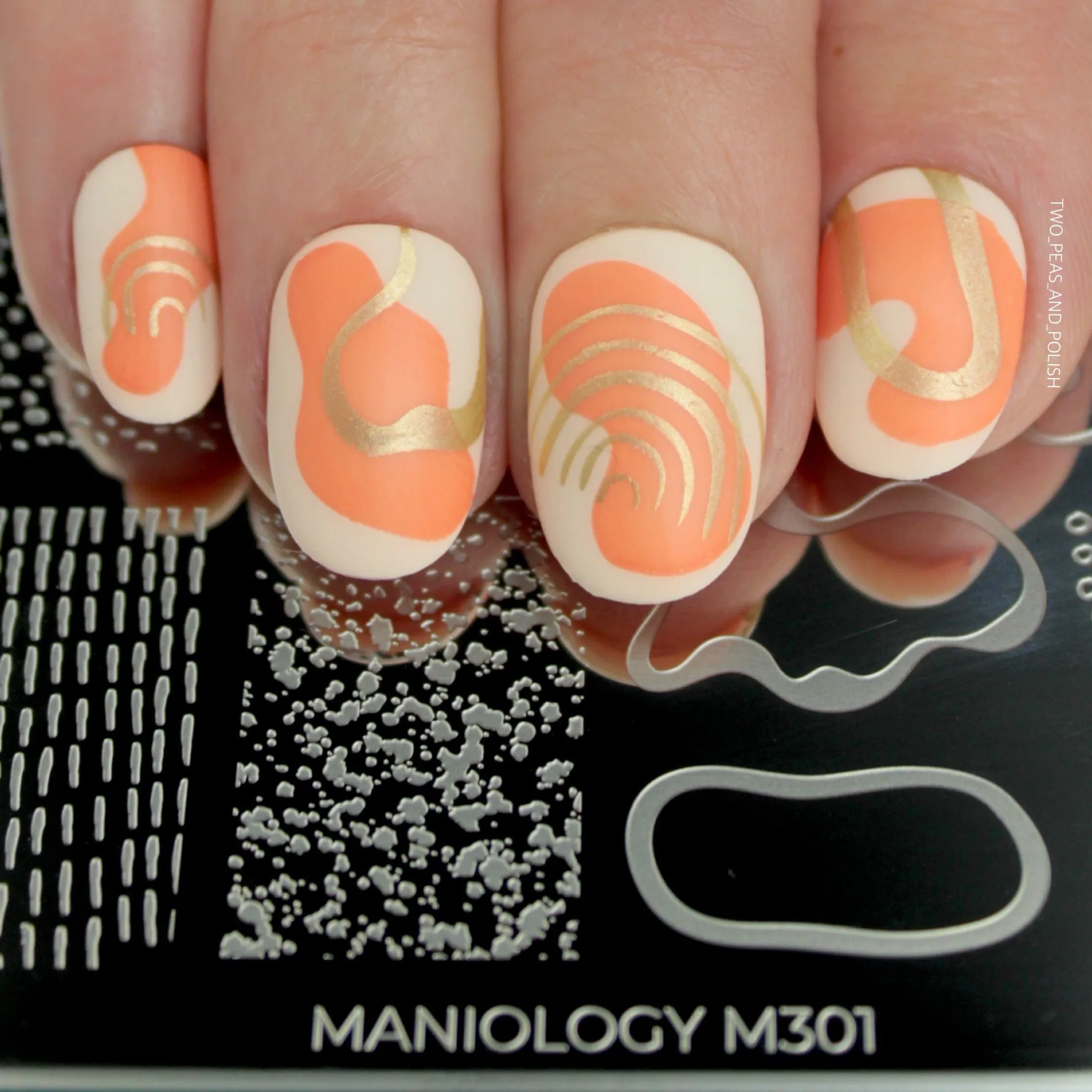 In Shape (M301) - Nail Stamping Plate