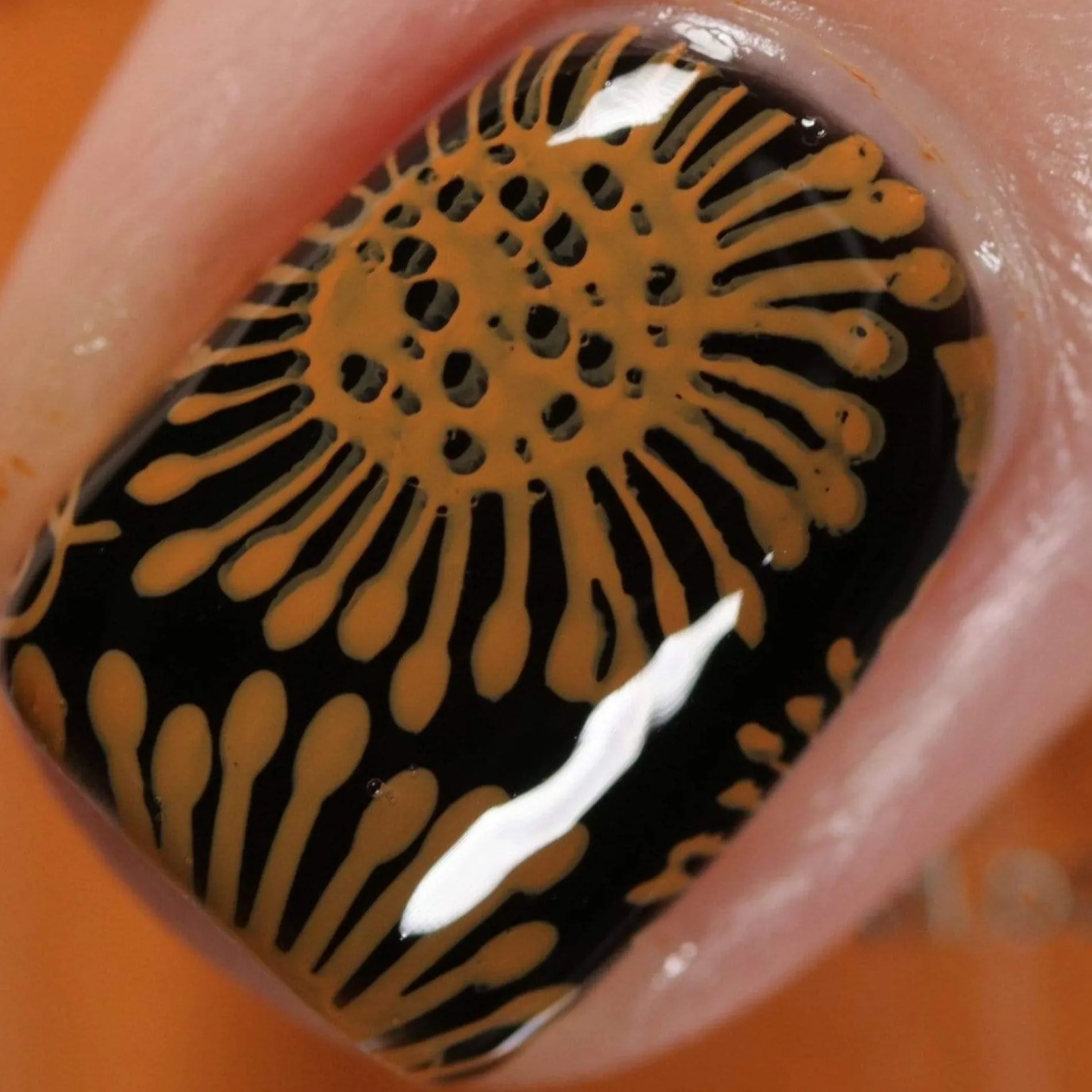 Juicy: Orange Dream (B377) - Orange Stamping Polish