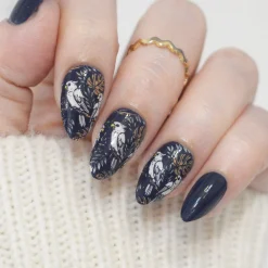 Jungle Secrets (M613) - Nail Stamping Plate