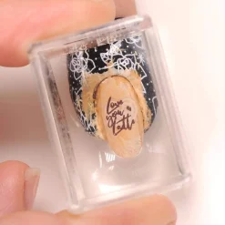 Latte (B331) - Caramel Tan Stamping Polish