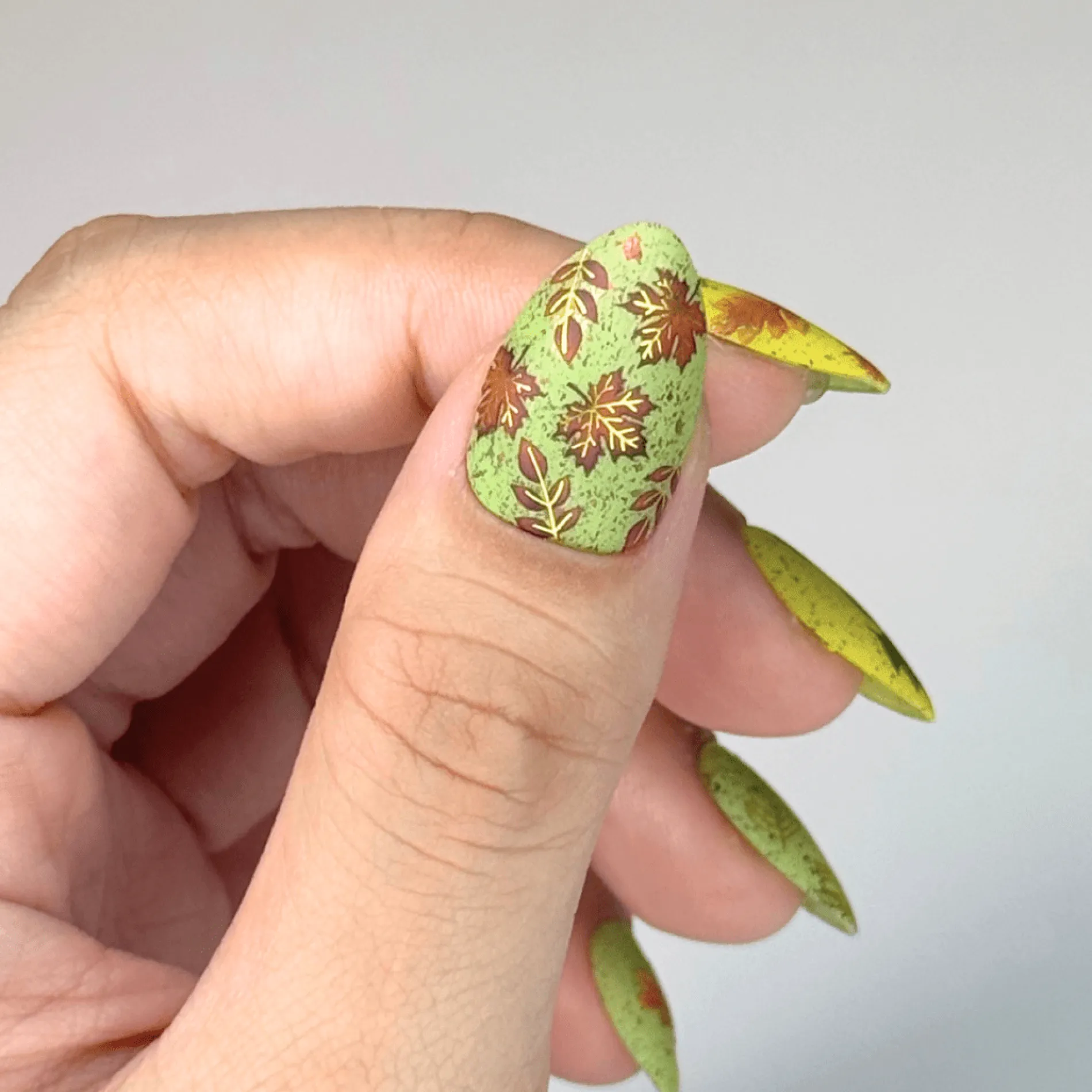 Leafy Outlines (MS-113) - Nail Art Sticker
