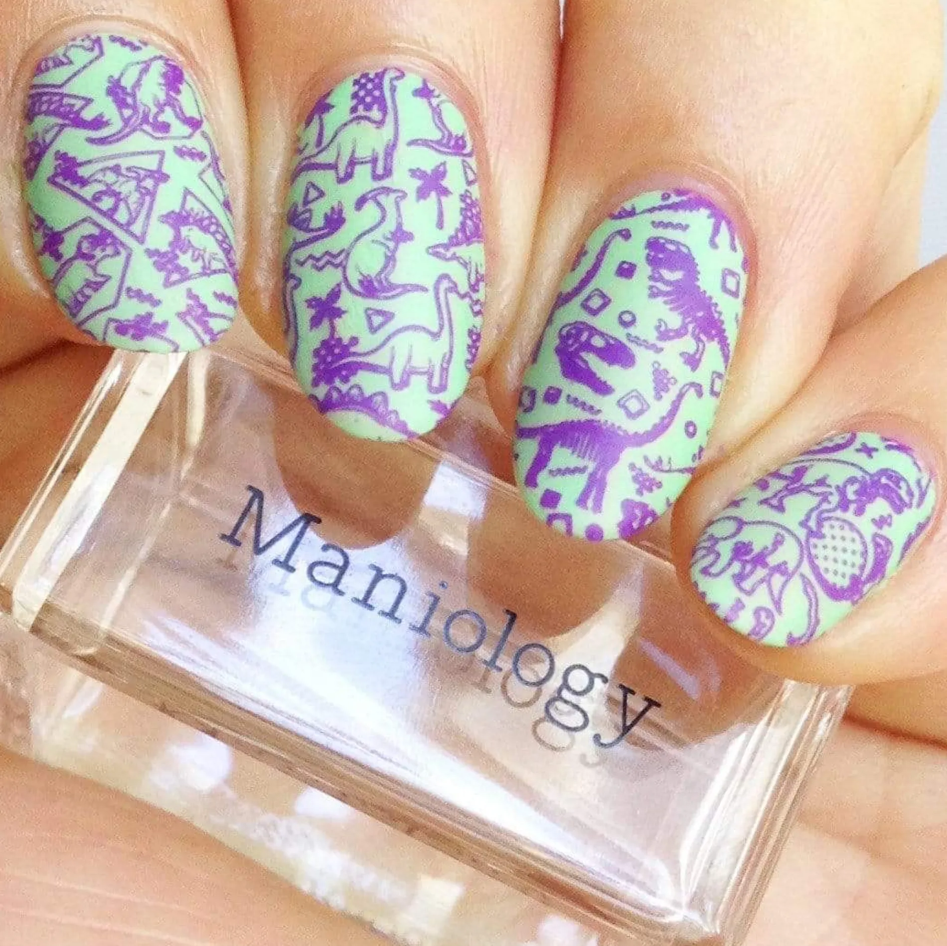 Littlefoot (B281) - Purple Stamping Polish