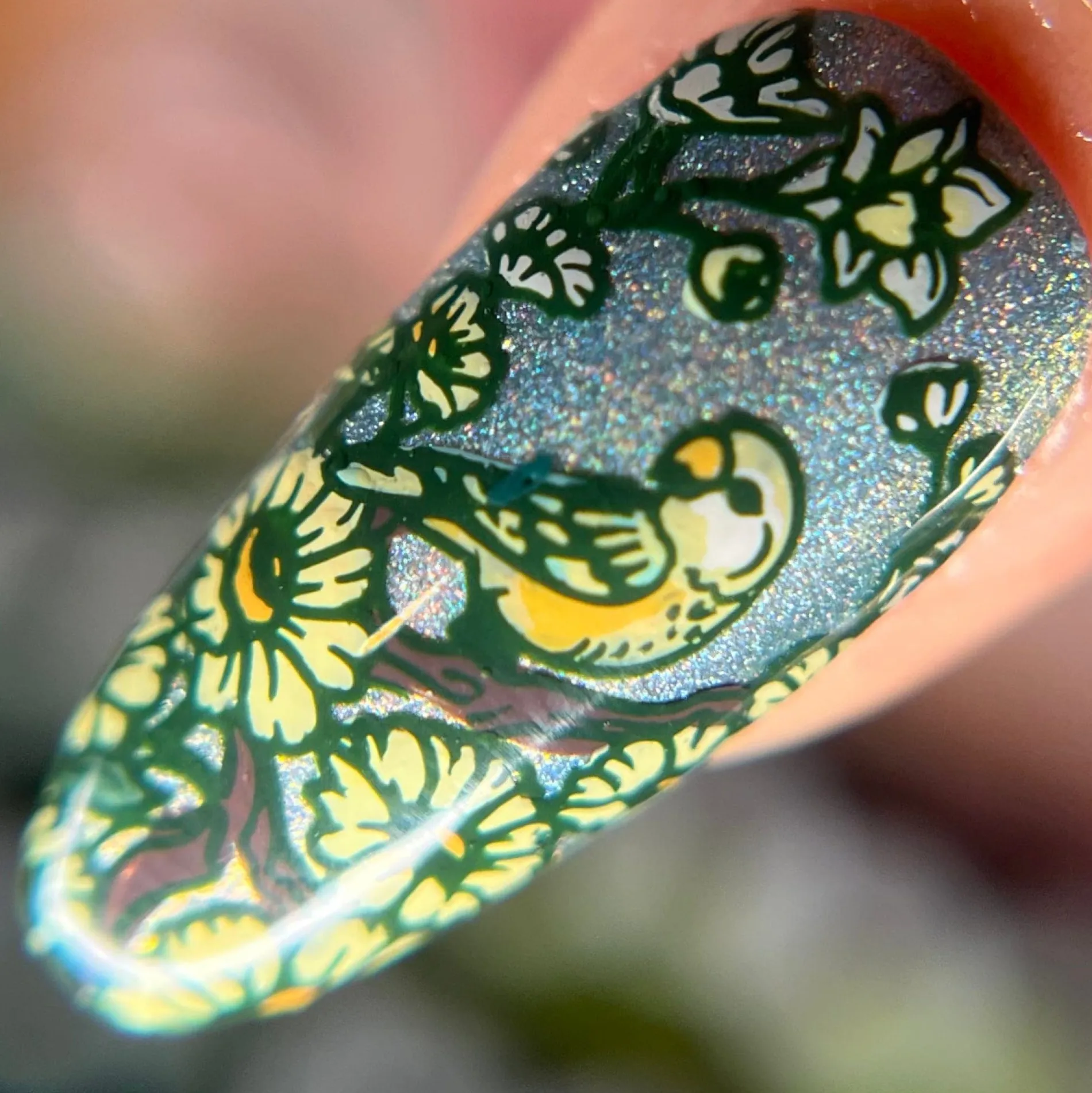 Love Birds (M569) - Nail Stamping Plate