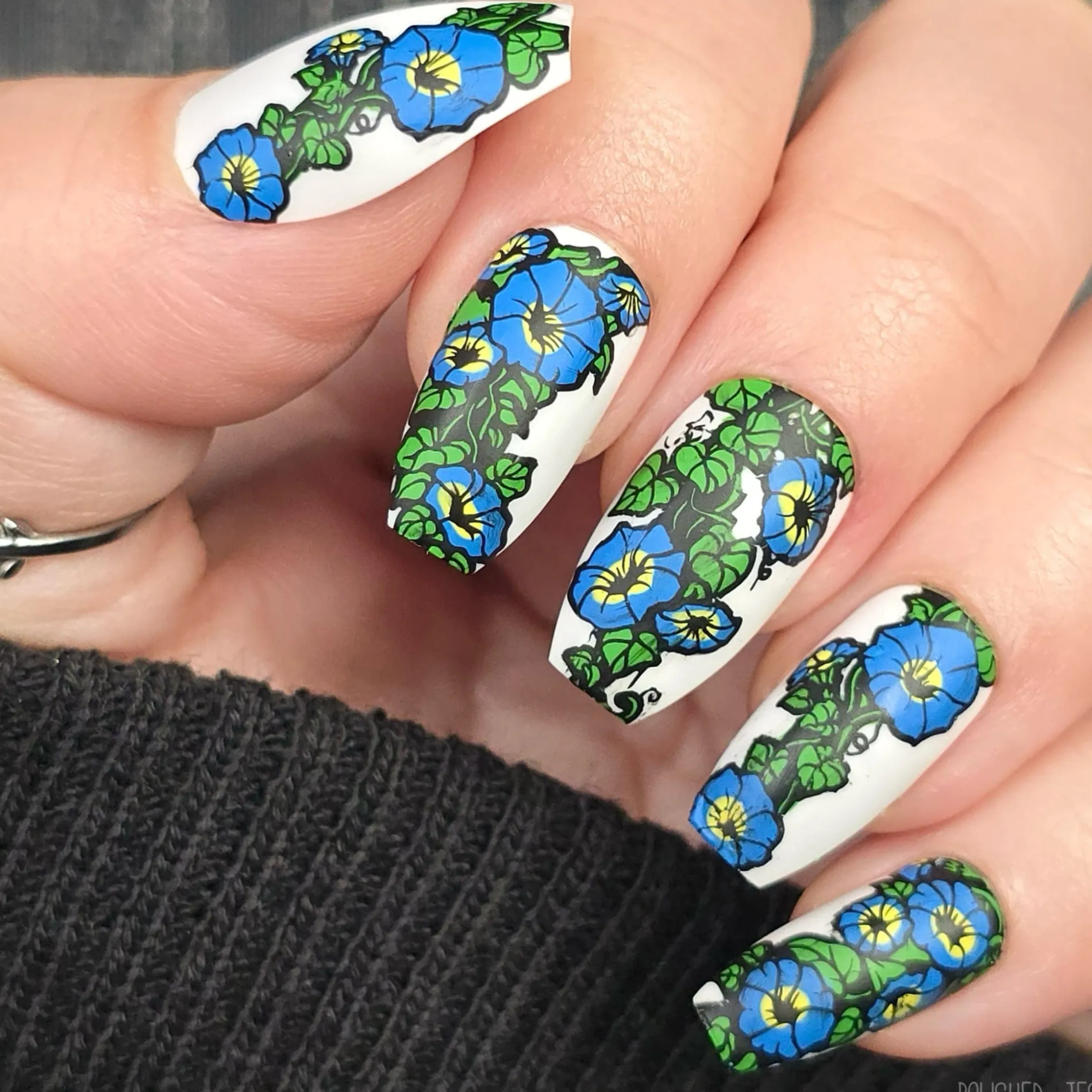 Morning Glory (M666) - Nail Stamping Plate