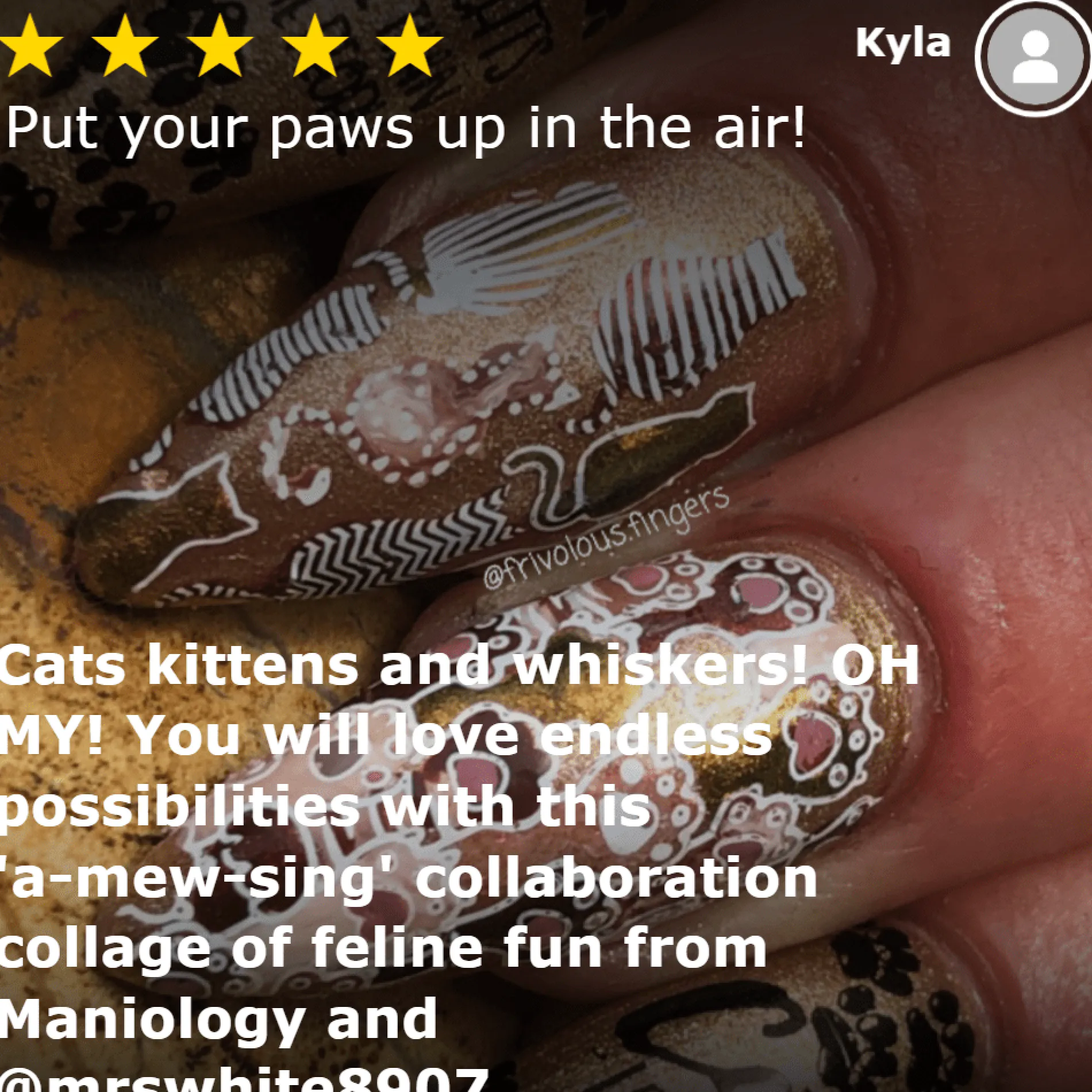 On the Prowl: Cat-Themed Nail Stamping Starter Kit