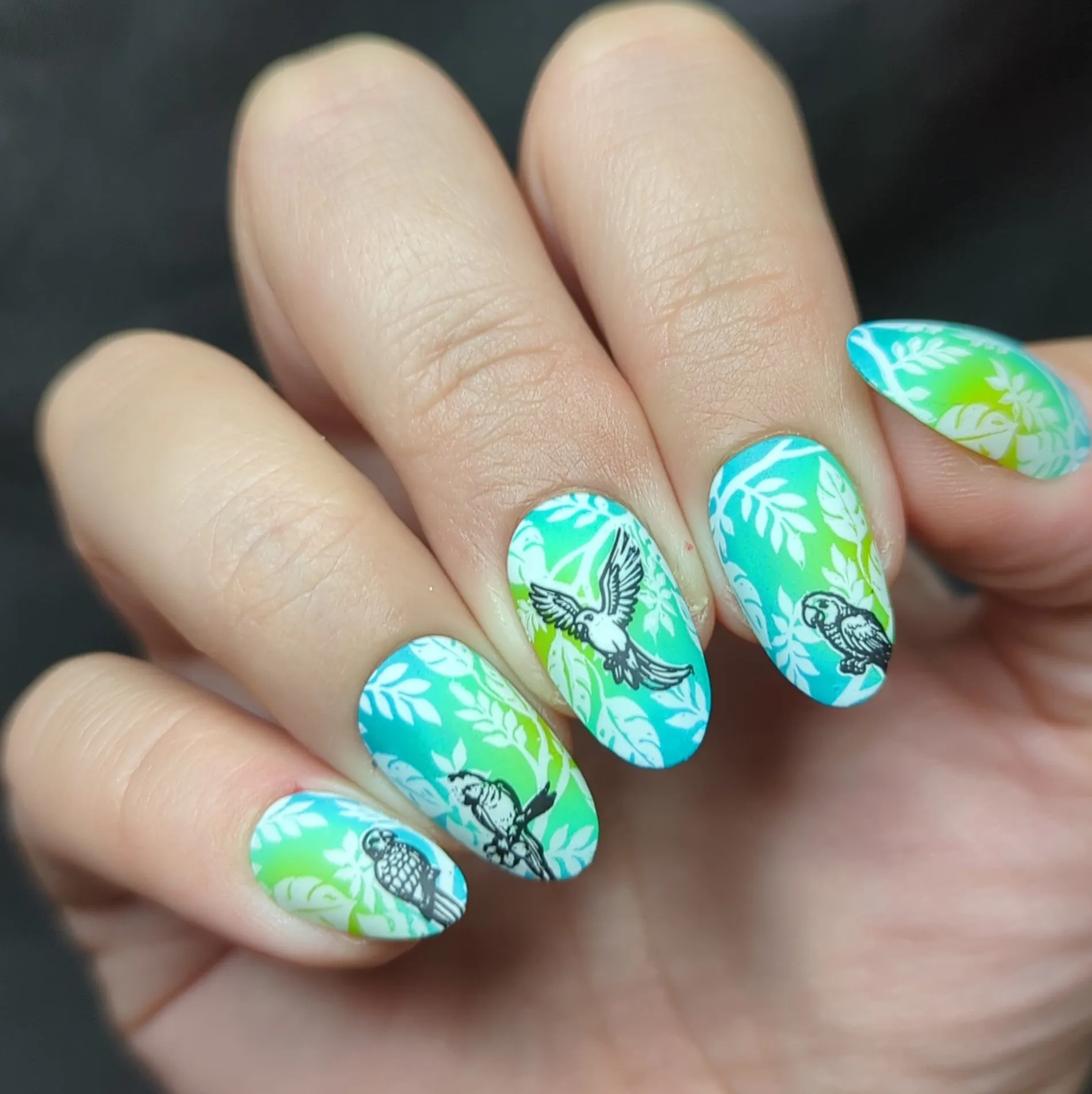 Parrots in Paradise Sanctuary (M624) - Nail Stamping Plate