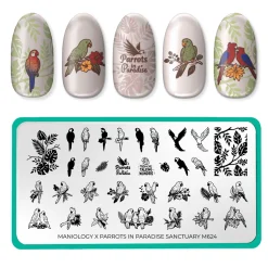 Parrots in Paradise Sanctuary (M624) - Nail Stamping Plate