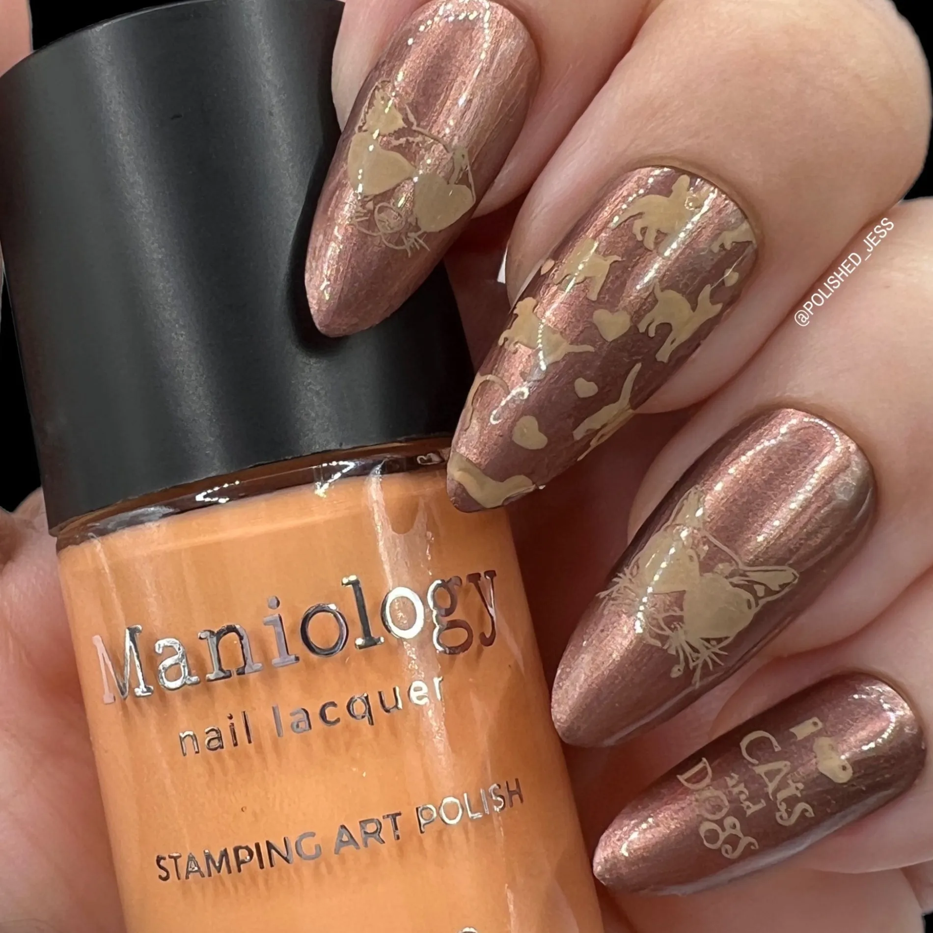 Pawfect (B473) - Coral Cream Stamping Polish