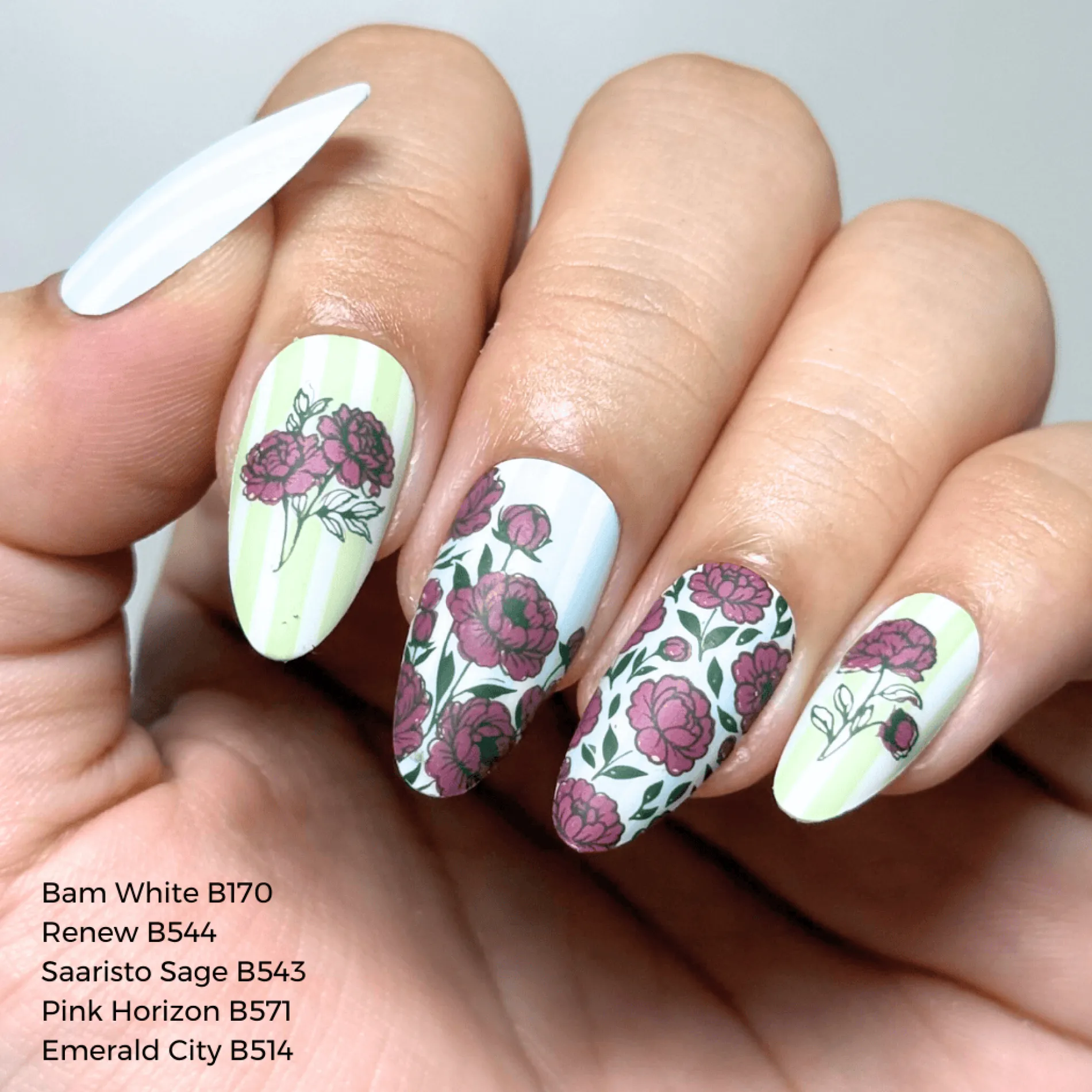 Peony Petals (M665) - Nail Stamping Plate