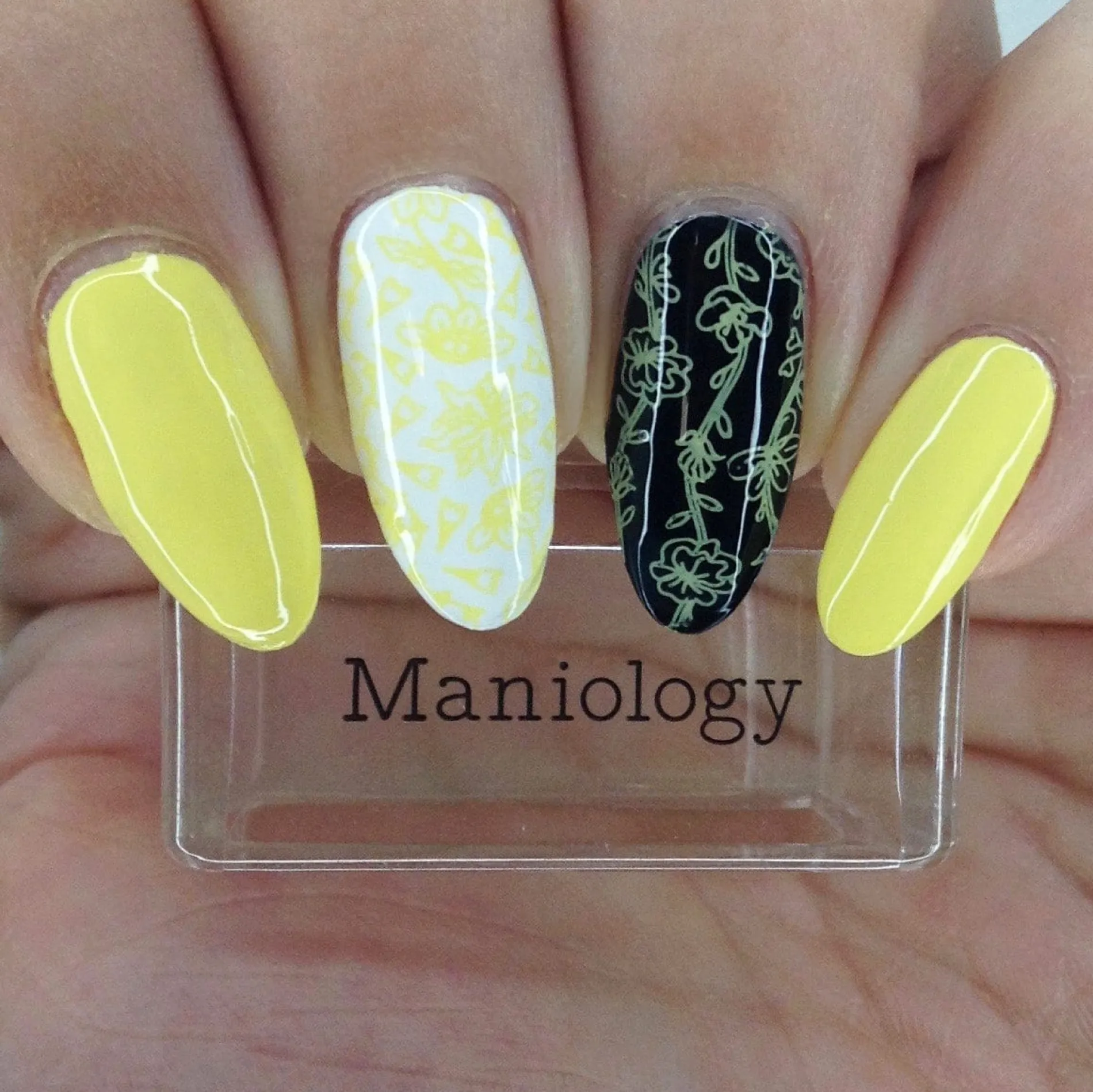 Perfect Trio: 3-Piece Sunny Meadow Nail Stamping Polish Set