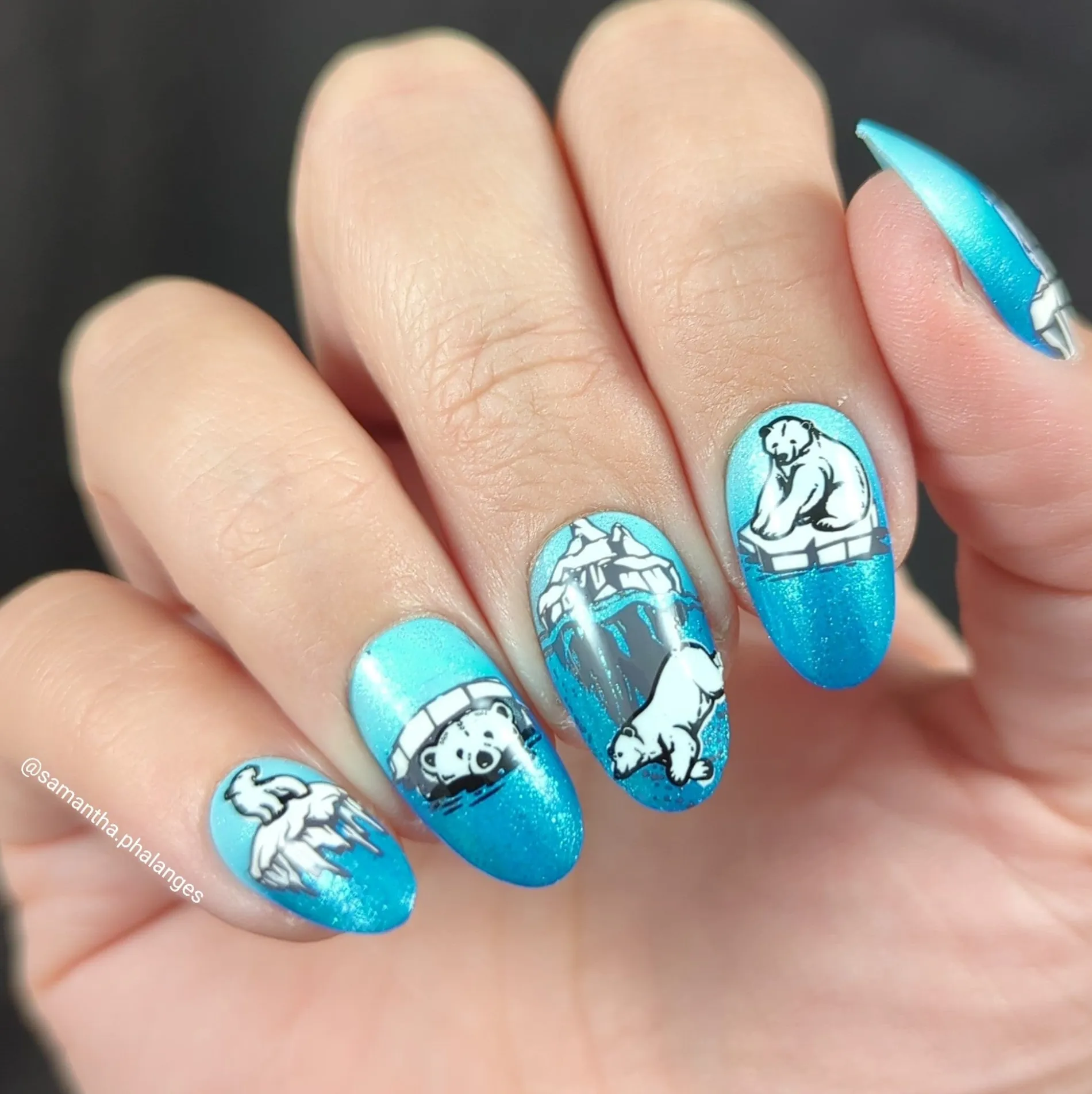 Polar Bears (M537) - Nail Stamping Plate