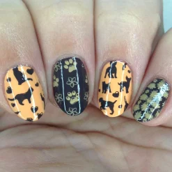 SFAC: Kaua'i Humane Society (M367) - Nail Stamping Plate