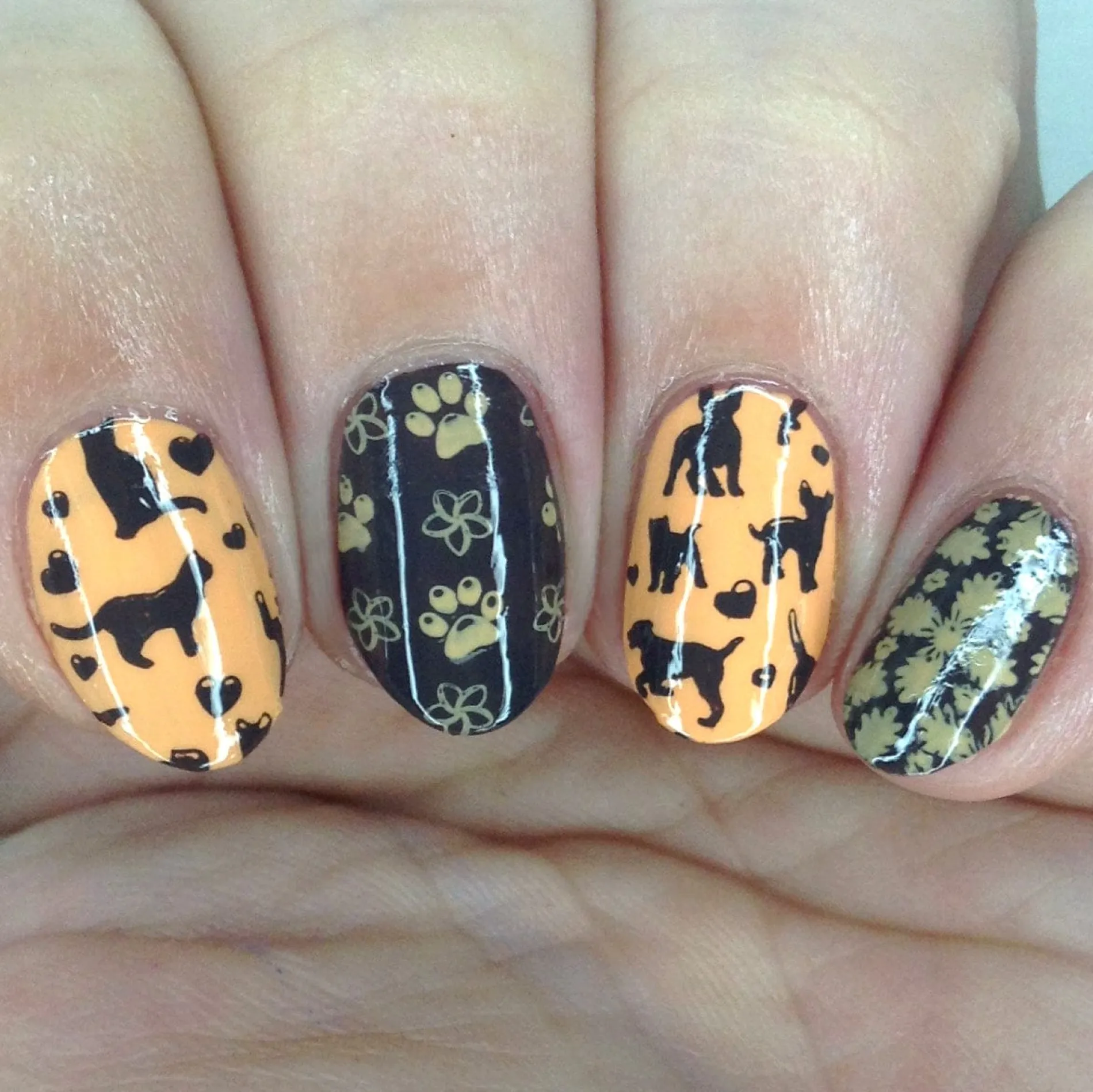 SFAC - Kauai Humane Society Nail Stamping Bundle