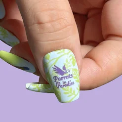SFAC - Parrots in Paradise Nail Stamping Bundle