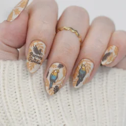 SFAC - Parrots in Paradise Nail Stamping Bundle