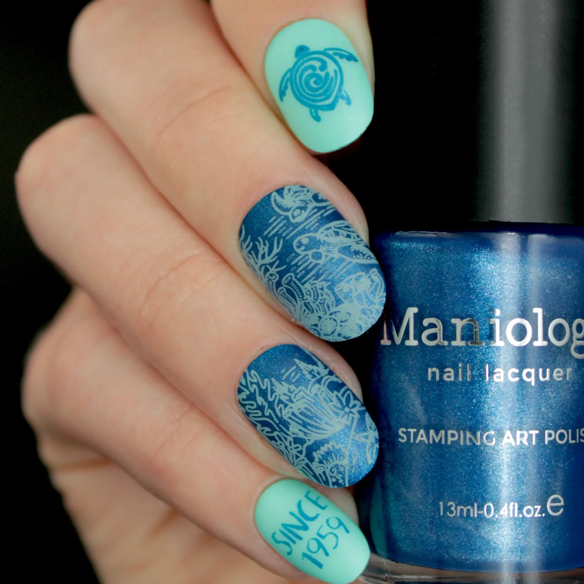 SFAC - Sea Turtle Conservancy Nail Stamping Bundle