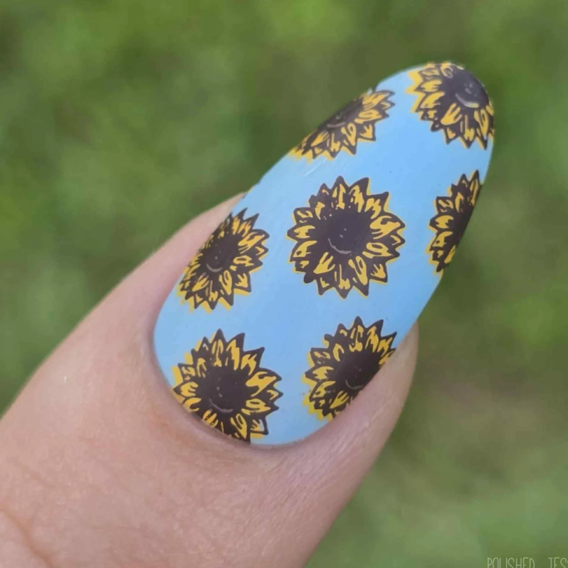 Sunflower Fields (M602) - Nail Stamping Plate