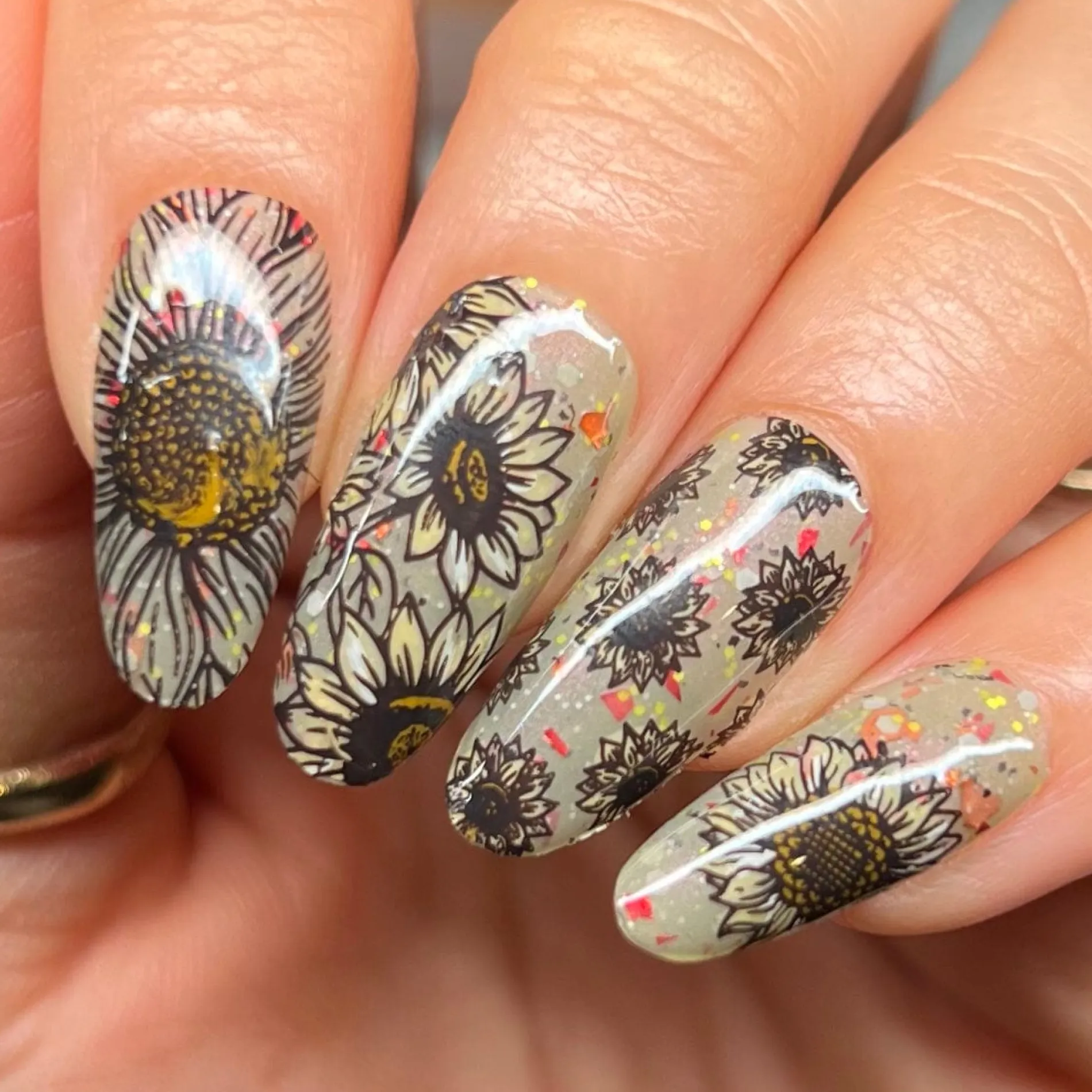 Sunflower Fields (M602) - Nail Stamping Plate
