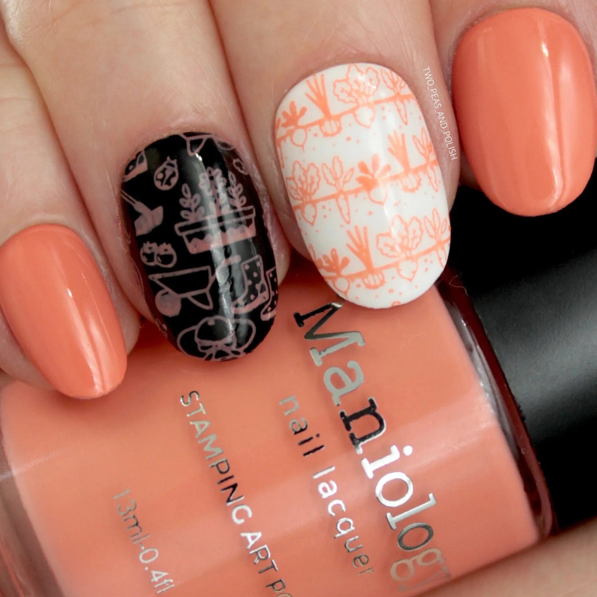 The Gardener: 6-Piece Creamy Pastel Stamping Polish Set