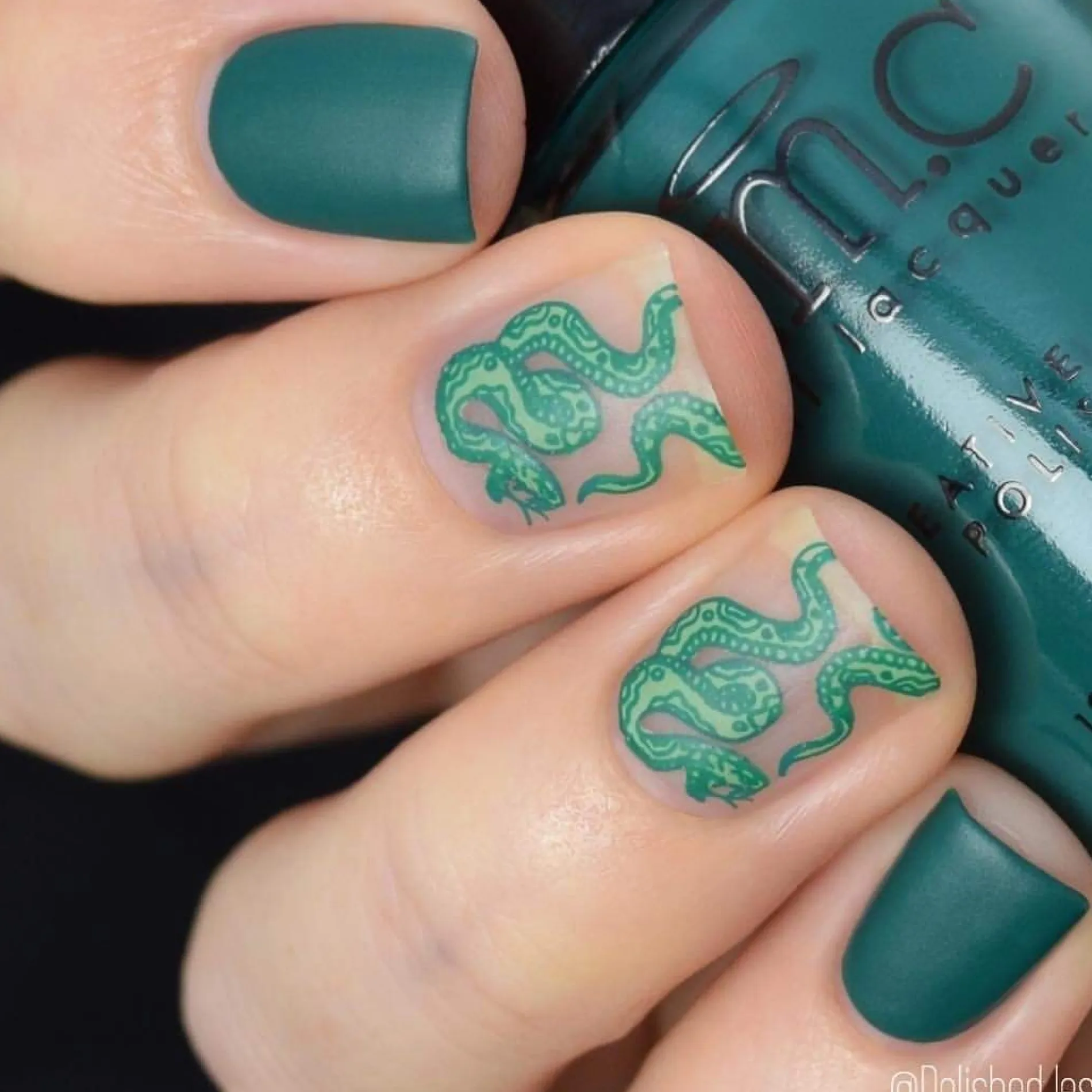 The Gardener: 6-Piece Creamy Pastel Stamping Polish Set