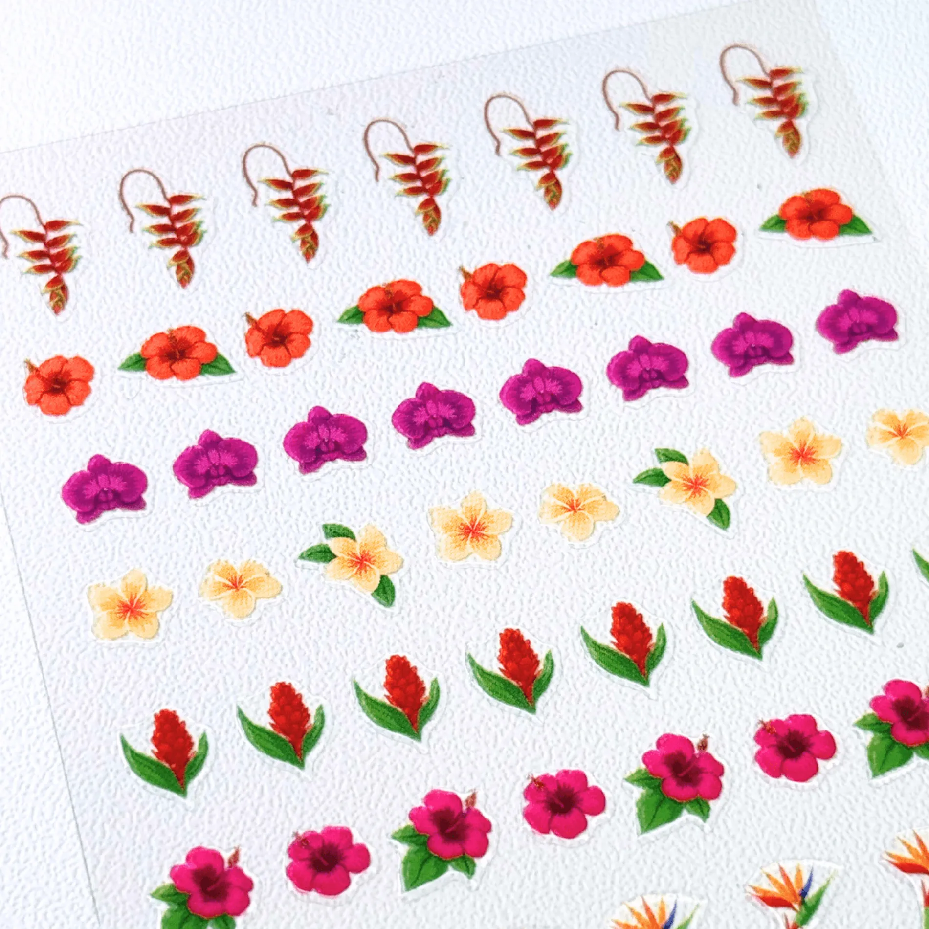 Tropic Crush (MS-108) - Nail Art Sticker