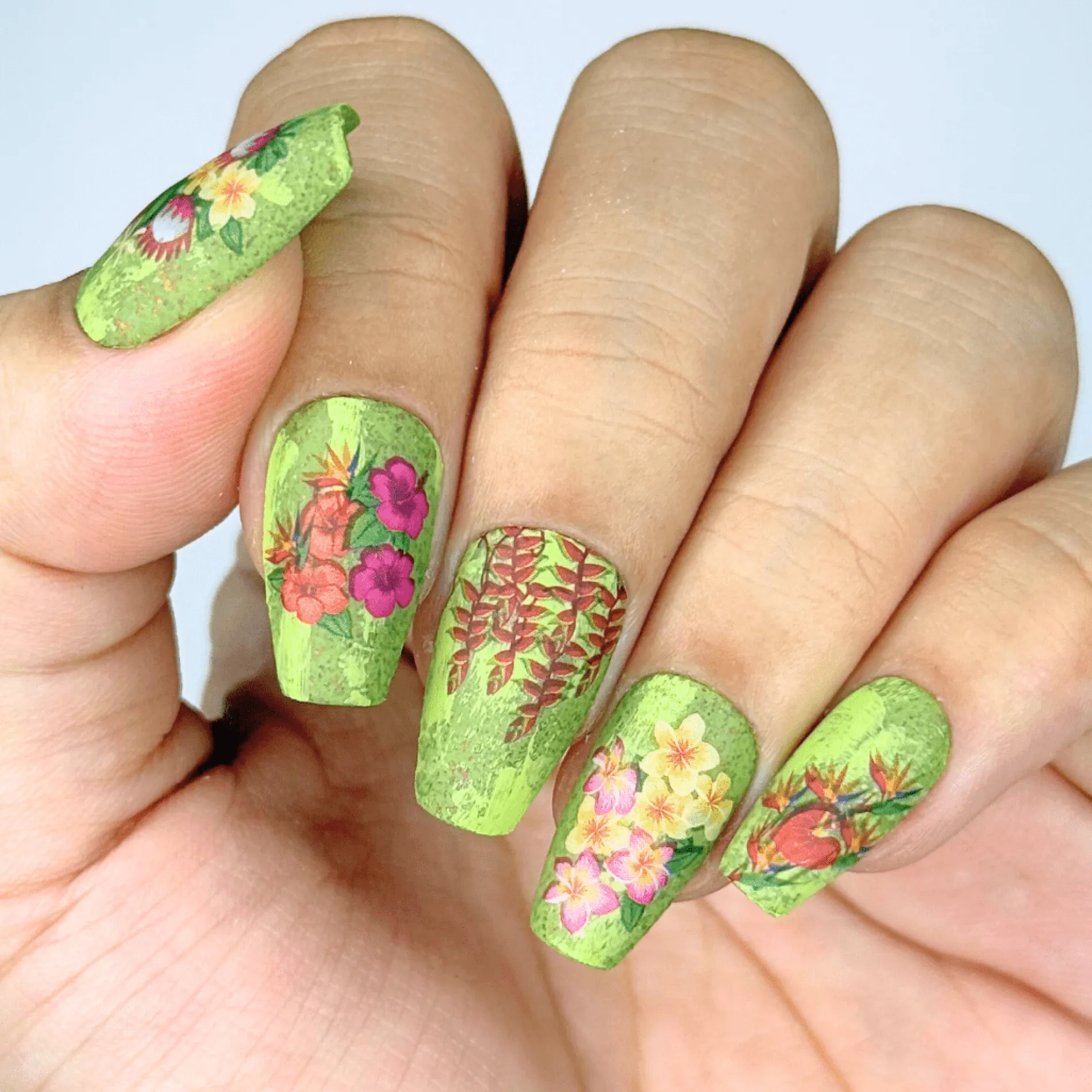 Tropic Crush (MS-108) - Nail Art Sticker