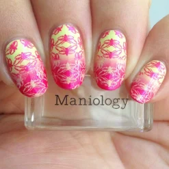 Wild Wings (B294) - Hot Pink Duochrome Stamping Polish