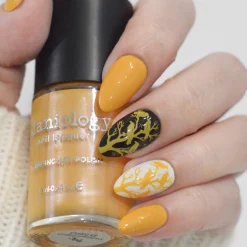 Withered Beauty: 3-Piece Pearl Cream Stamping Polish Set
